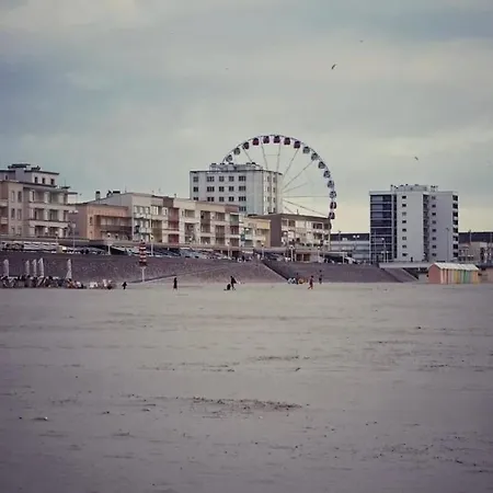 Apartment L'ecume Celeste 4 6 Pers A 3 Min De La Berck